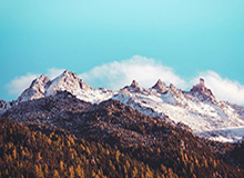 青岛vs广东首发阵容详情 一览(2025年08月08日)